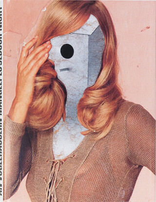 An Vogelhäusern mangelt es jedoch nicht An Vogelhäusern mangelt es jedoch nicht – book cover closed